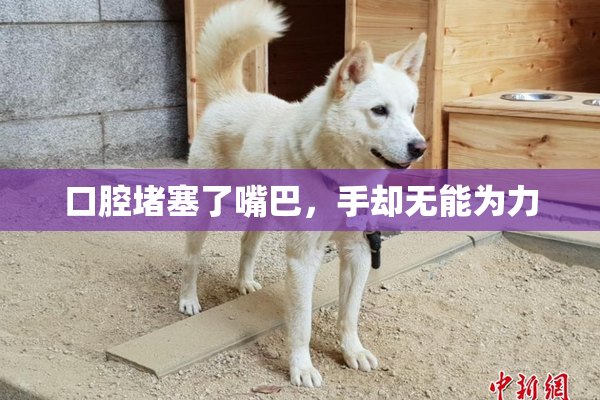 口腔堵塞了嘴巴，手却无能为力