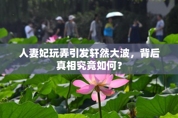 人妻妃玩弄引发轩然大波，背后真相究竟如何？