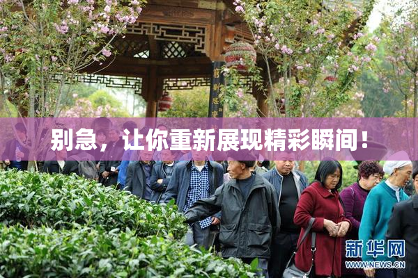 别急，让你重新展现精彩瞬间！