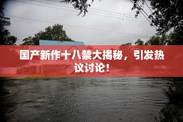 国产新作十八禁大揭秘，引发热议讨论！