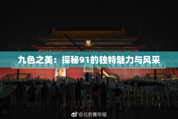 九色之美：探秘91的独特魅力与风采