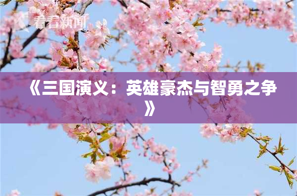 《三国演义：英雄豪杰与智勇之争》