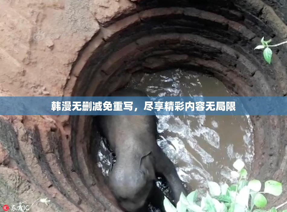 韩漫无删减免重写，尽享精彩内容无局限