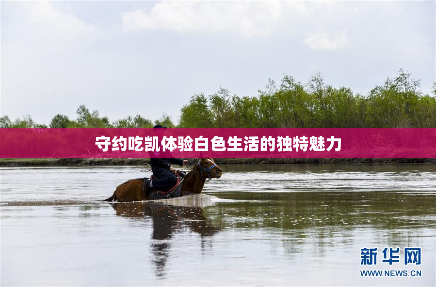 守约吃凯体验白色生活的独特魅力