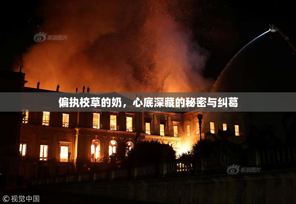 偏执校草的奶，心底深藏的秘密与纠葛