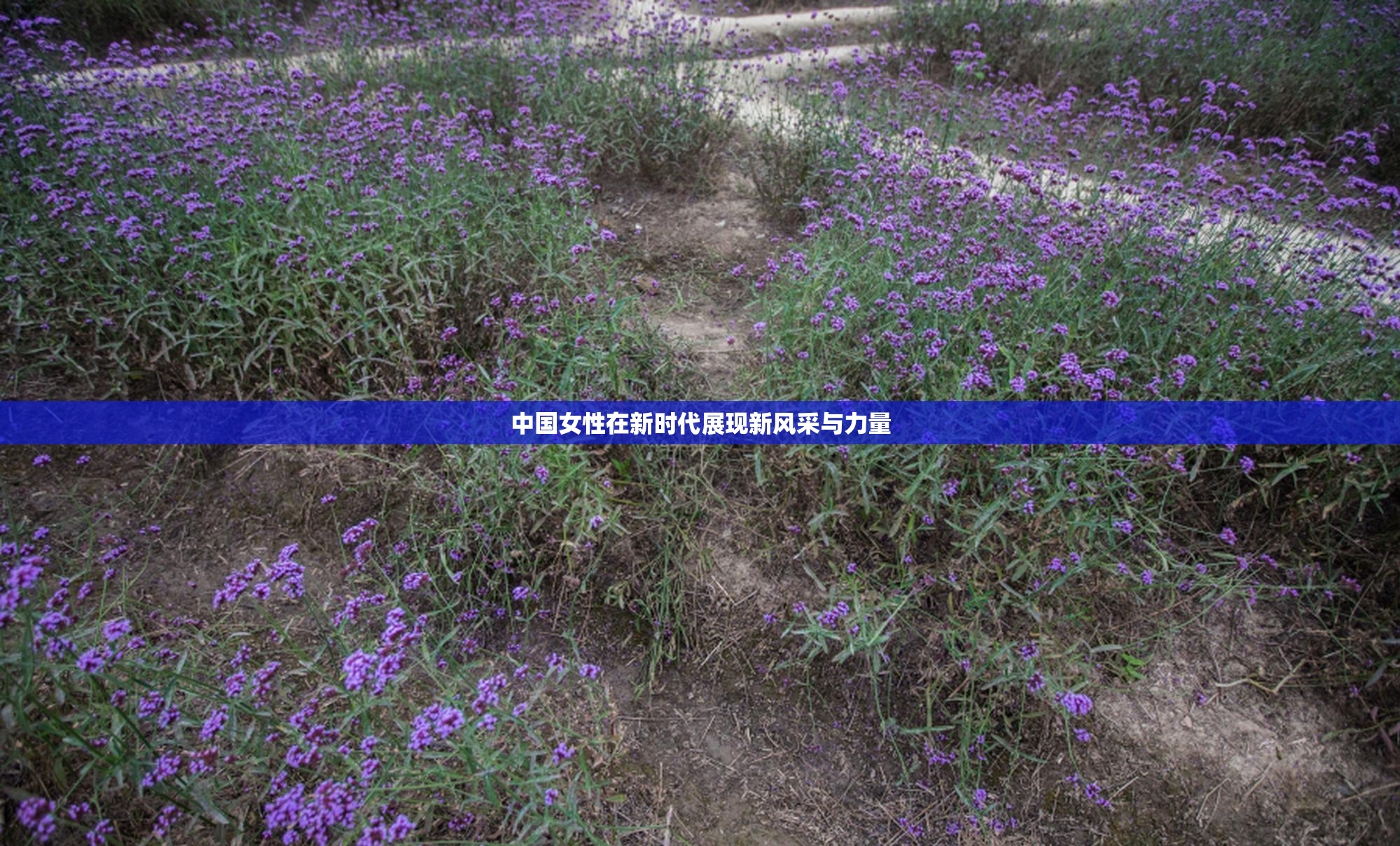 中国女性在新时代展现新风采与力量
