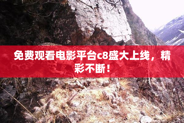 免费观看电影平台c8盛大上线，精彩不断！