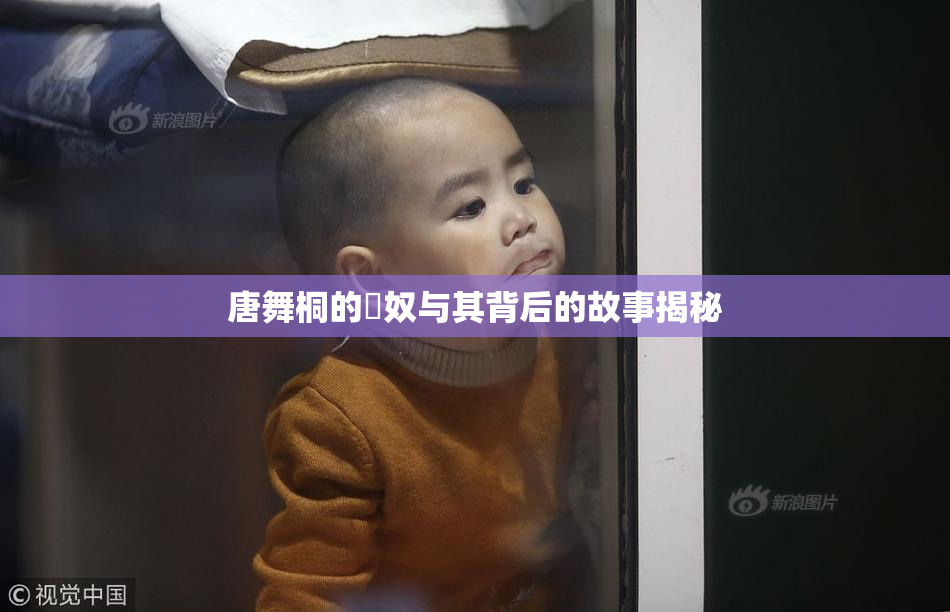 唐舞桐的婬奴与其背后的故事揭秘