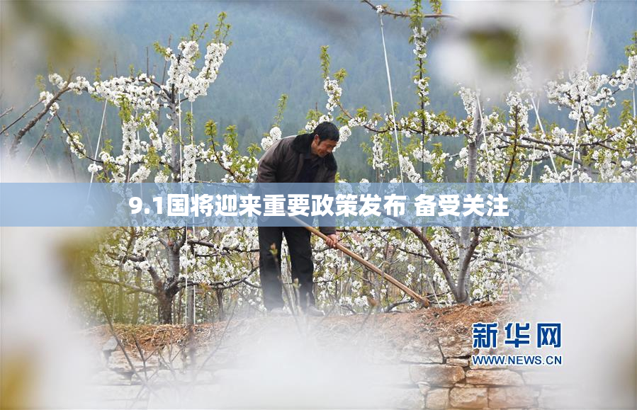 9.1国将迎来重要政策发布 备受关注