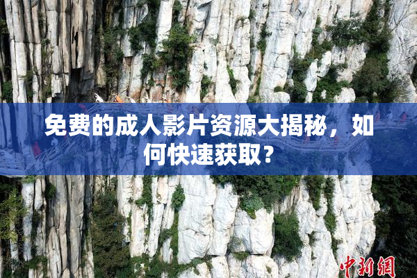 免费的成人影片资源大揭秘，如何快速获取？