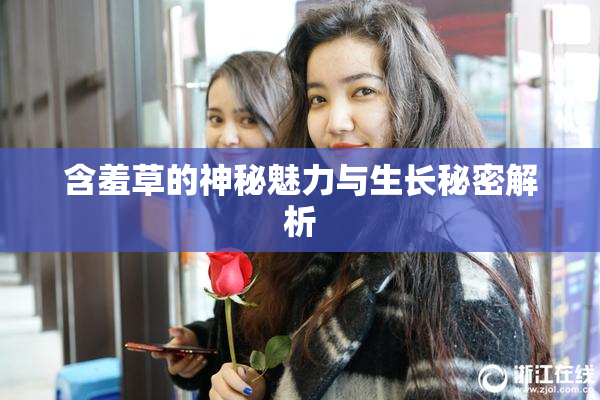 含羞草的神秘魅力与生长秘密解析