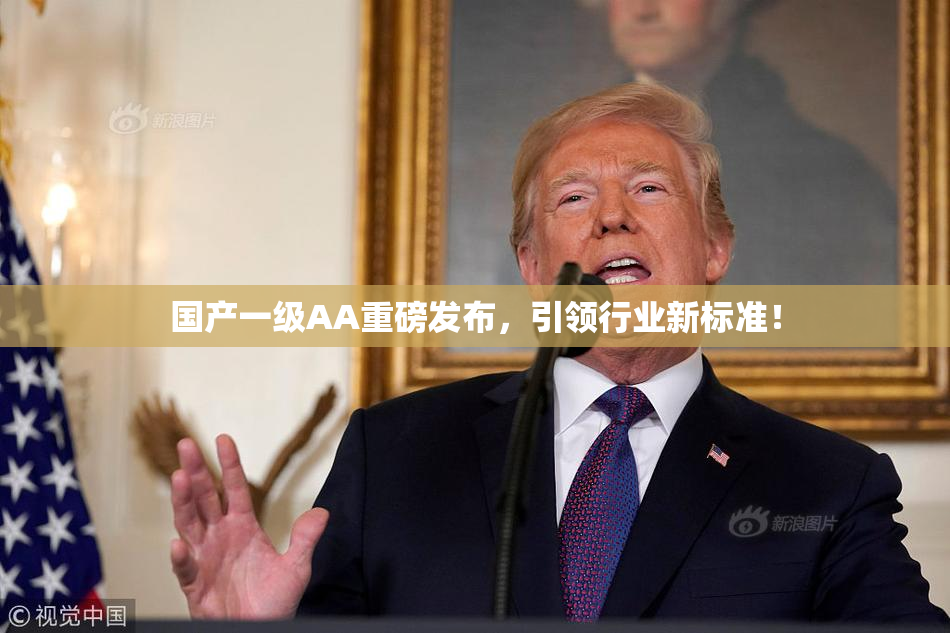 国产一级AA重磅发布，引领行业新标准！