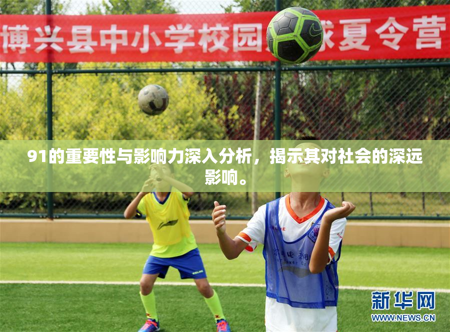 91的重要性与影响力深入分析，揭示其对社会的深远影响。