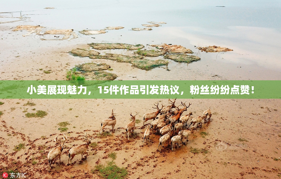 小美展现魅力，15件作品引发热议，粉丝纷纷点赞！