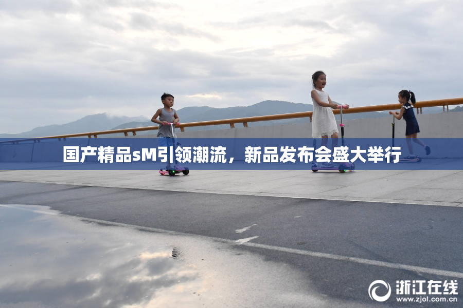国产精品sM引领潮流，新品发布会盛大举行