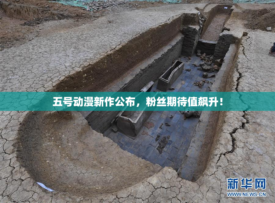 五号动漫新作公布，粉丝期待值飙升！