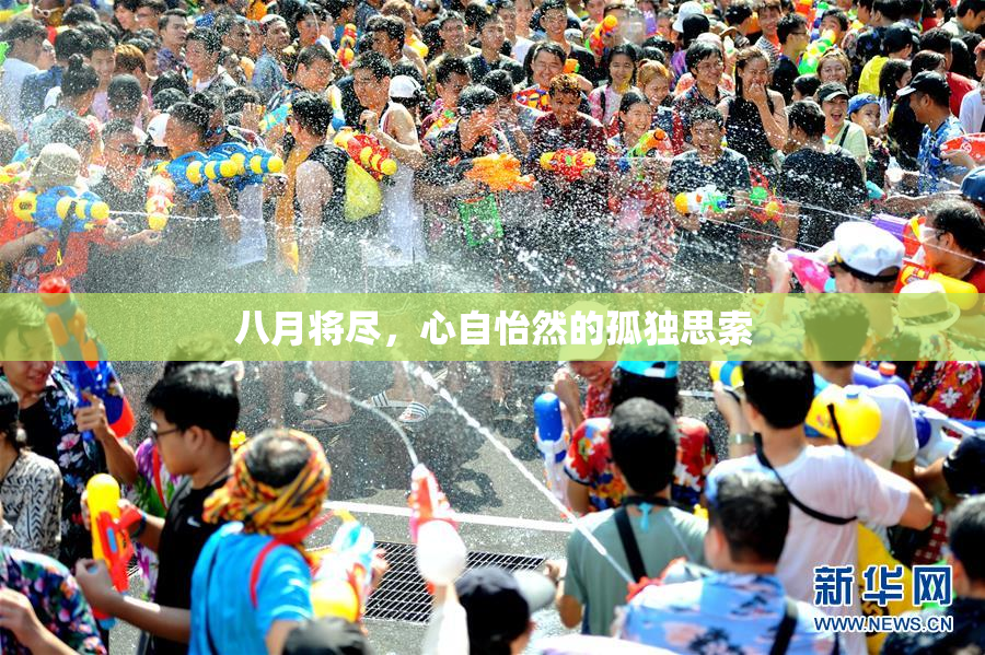 八月将尽，心自怡然的孤独思索