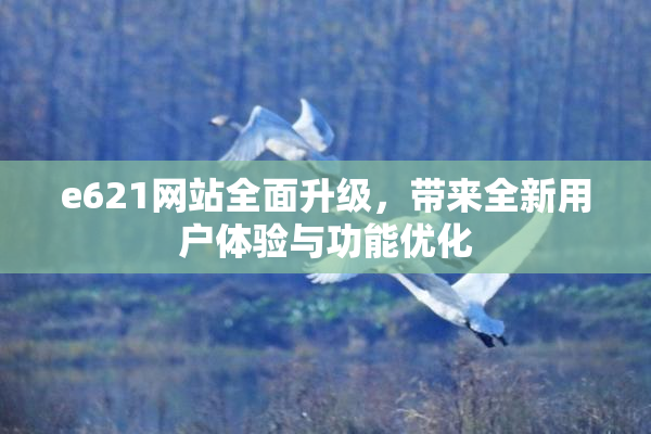 e621网站全面升级，带来全新用户体验与功能优化