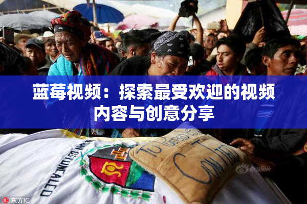 蓝莓视频：探索最受欢迎的视频内容与创意分享