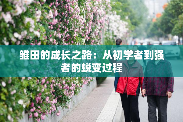 雏田的成长之路：从初学者到强者的蜕变过程