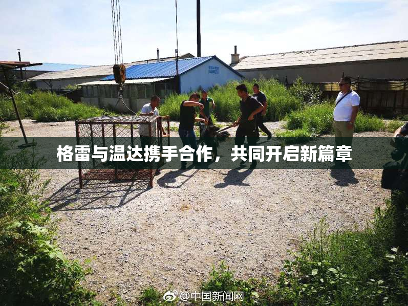 格雷与温达携手合作，共同开启新篇章