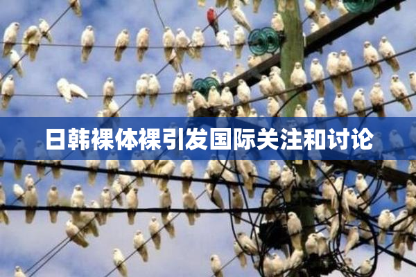 日韩裸体裸引发国际关注和讨论