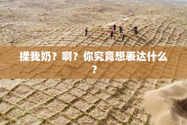 揉我奶？啊？你究竟想表达什么？