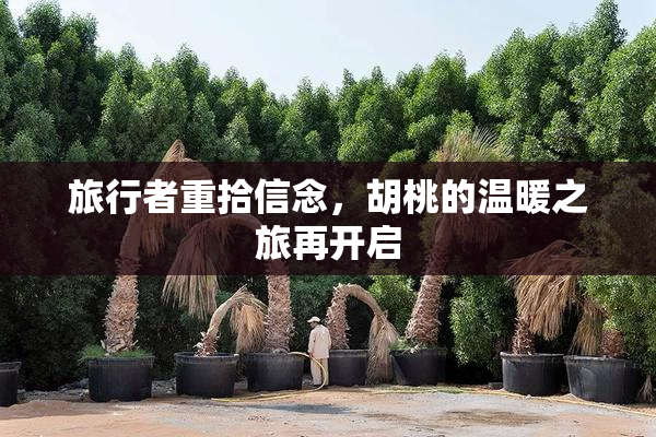 旅行者重拾信念，胡桃的温暖之旅再开启