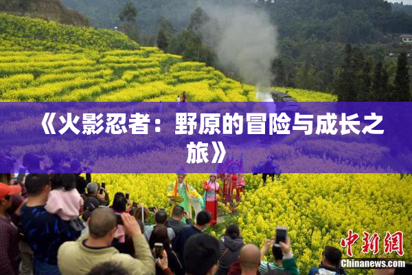《火影忍者：野原的冒险与成长之旅》