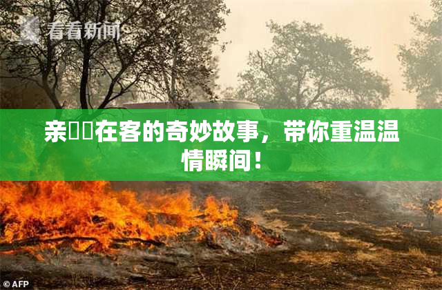亲妺妺在客的奇妙故事，带你重温温情瞬间！