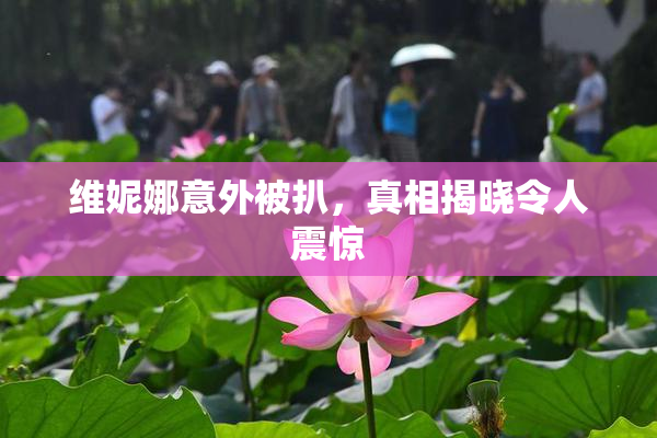维妮娜意外被扒，真相揭晓令人震惊