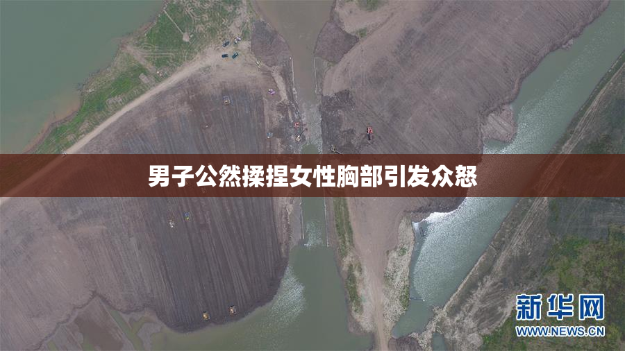 男子公然揉捏女性胸部引发众怒