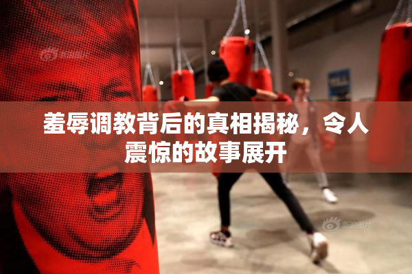 羞辱调教背后的真相揭秘，令人震惊的故事展开