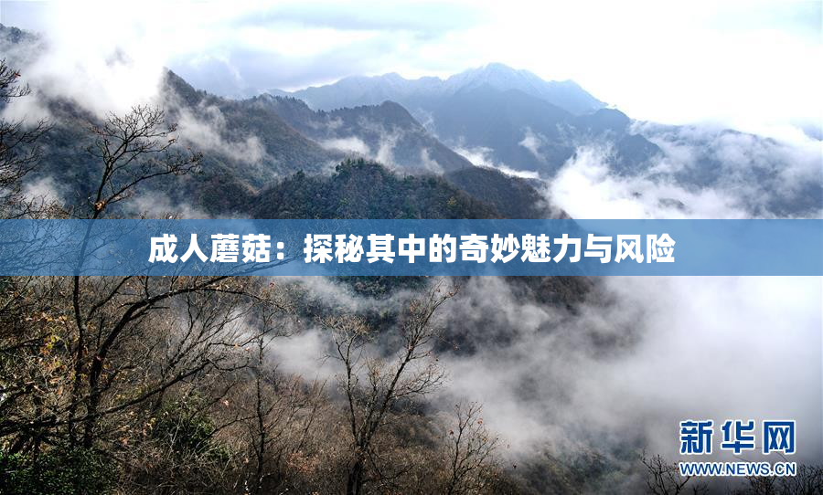 成人蘑菇：探秘其中的奇妙魅力与风险