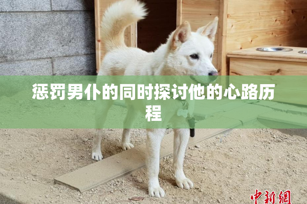 惩罚男仆的同时探讨他的心路历程