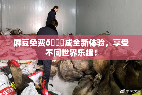 麻豆免费🔞成全新体验，享受不同世界乐趣！