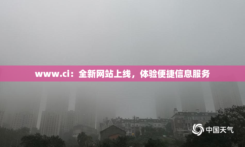www.ci：全新网站上线，体验便捷信息服务