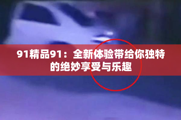91精品91：全新体验带给你独特的绝妙享受与乐趣