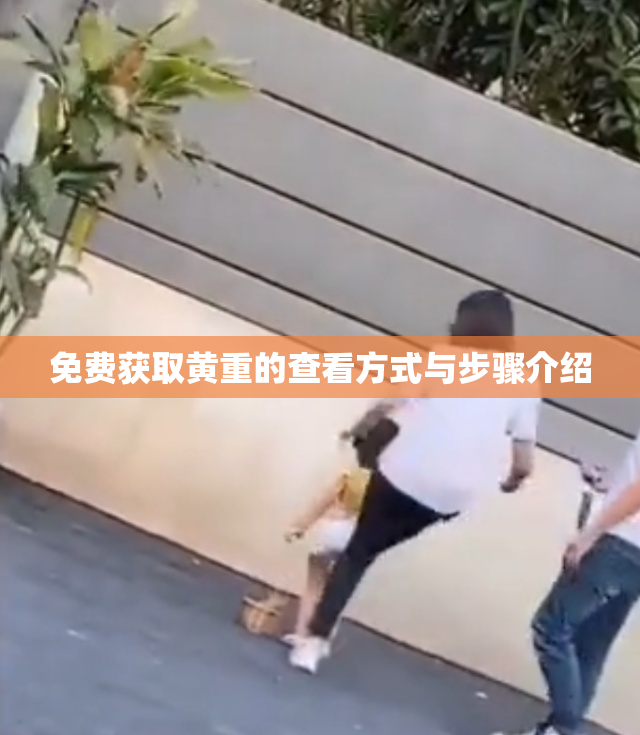 免费获取黄重的查看方式与步骤介绍