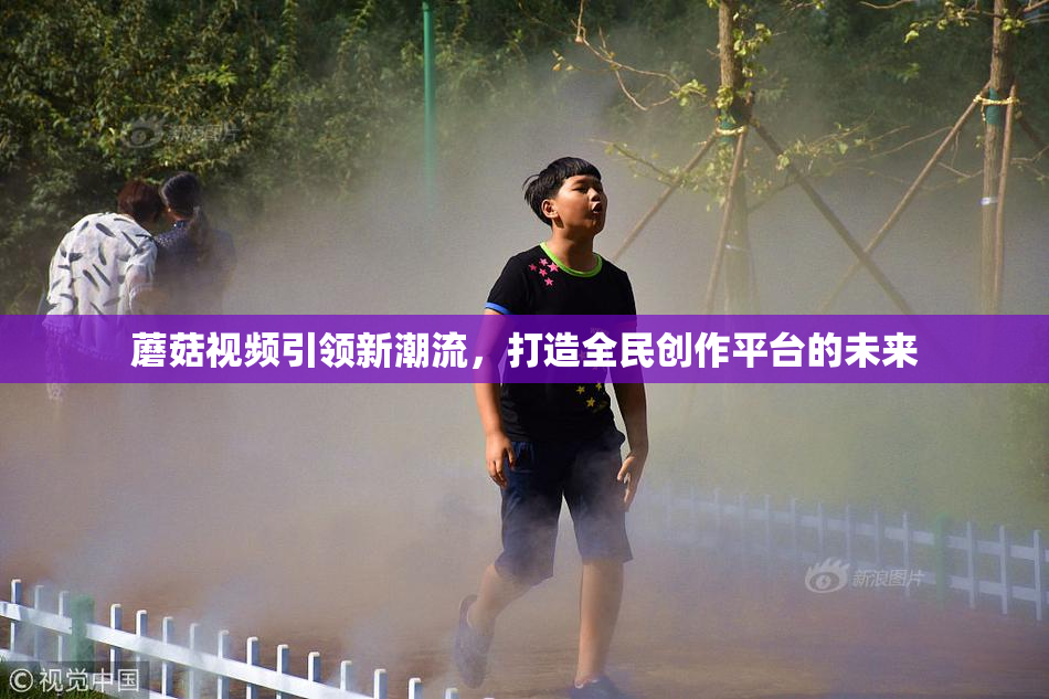 蘑菇视频引领新潮流，打造全民创作平台的未来