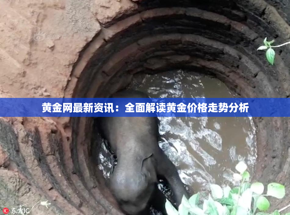 黄金网最新资讯：全面解读黄金价格走势分析
