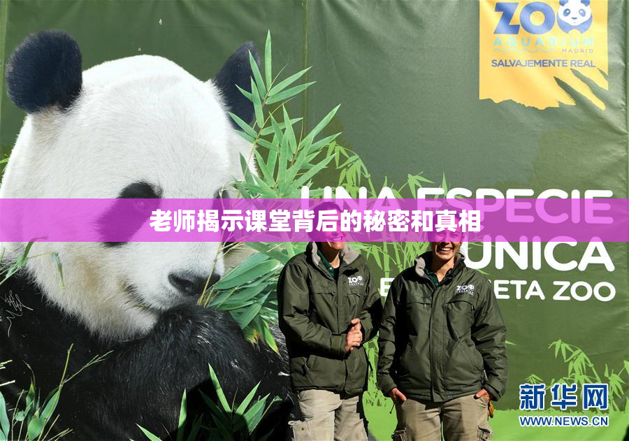 老师揭示课堂背后的秘密和真相