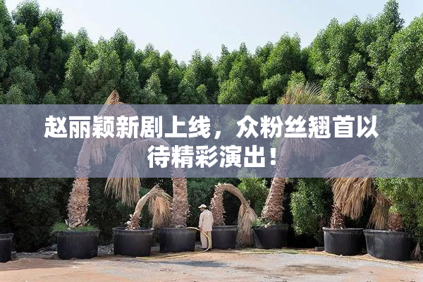 赵丽颖新剧上线，众粉丝翘首以待精彩演出！