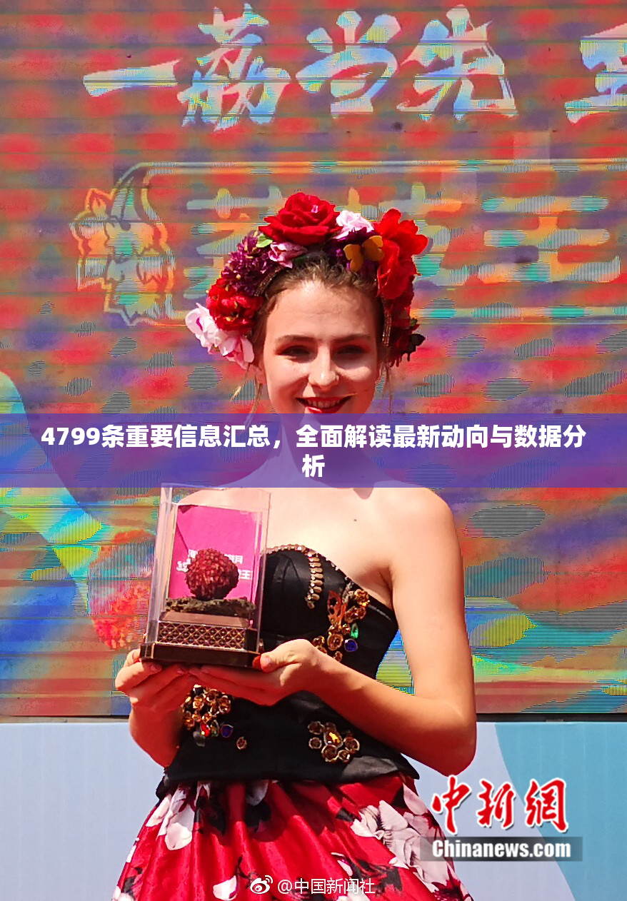 4799条重要信息汇总，全面解读最新动向与数据分析