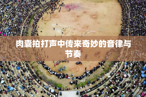 肉囊拍打声中传来奇妙的音律与节奏