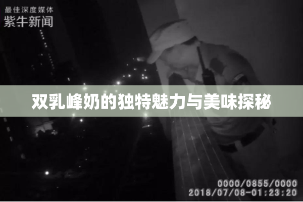双乳峰奶的独特魅力与美味探秘