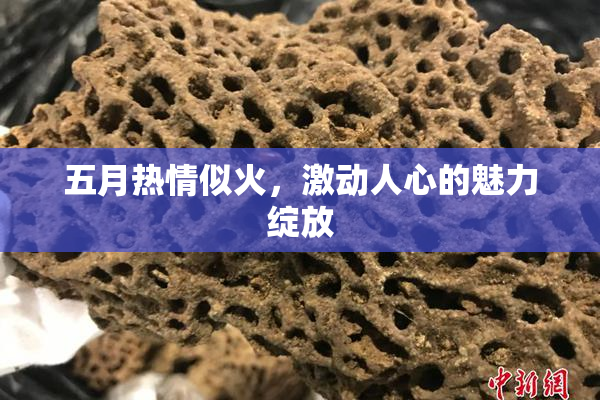 五月热情似火，激动人心的魅力绽放