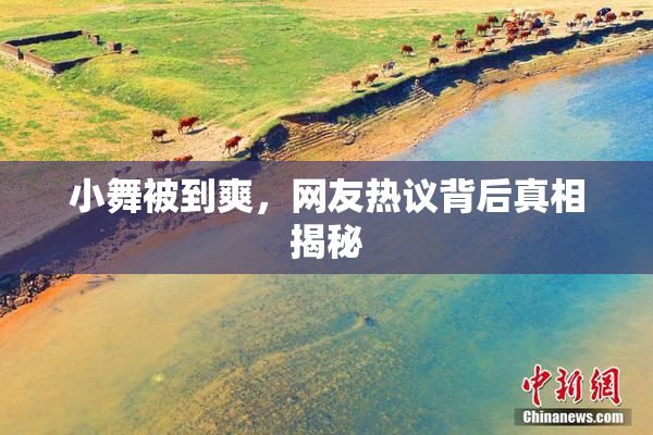 小舞被到爽，网友热议背后真相揭秘