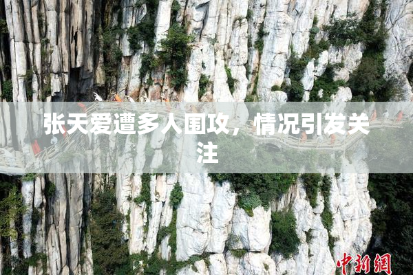 张天爱遭多人围攻，情况引发关注