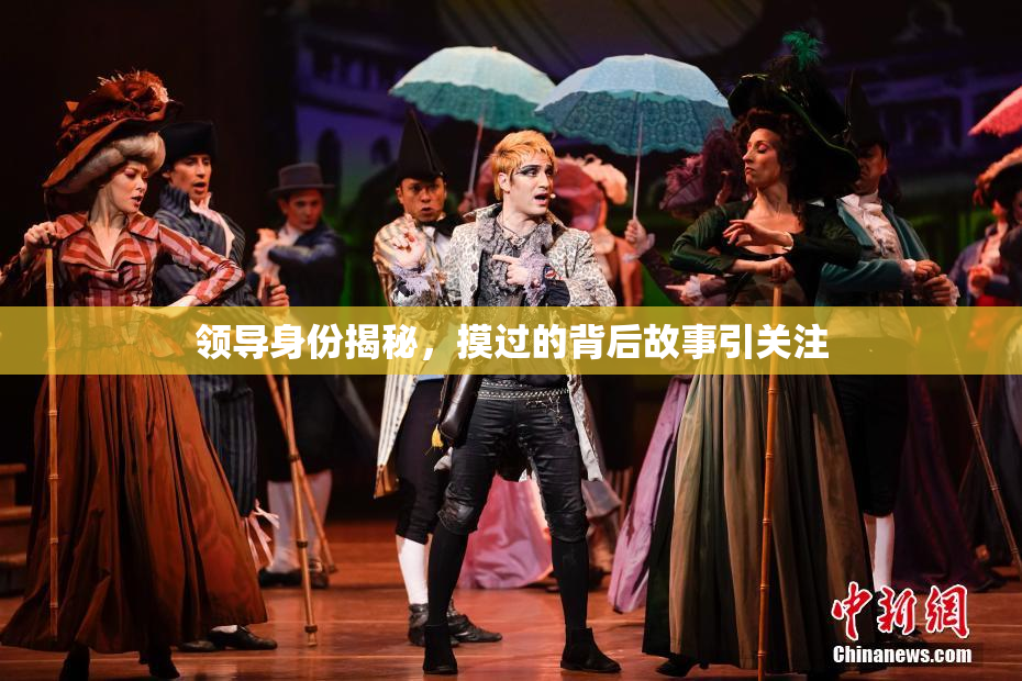 领导身份揭秘，摸过的背后故事引关注